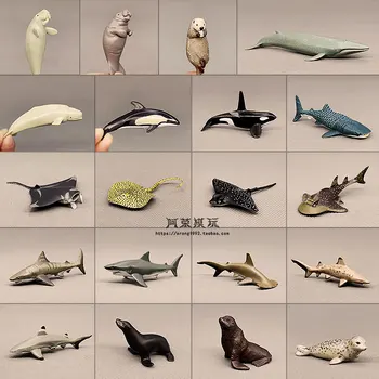 Miniaturowy Model Morskiego Zwierzęcia Lew Szczęki Morsa Kaszalot Rekin Delfin Płaszczki, Manty Oceany Świata Figurka Morskie Ozdoby Zabawki